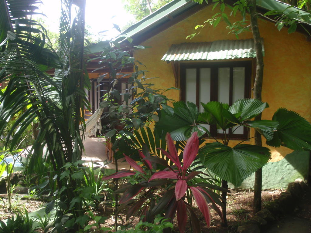 Pachamama Tropical Garden Lodge 말파이스 객실 사진
