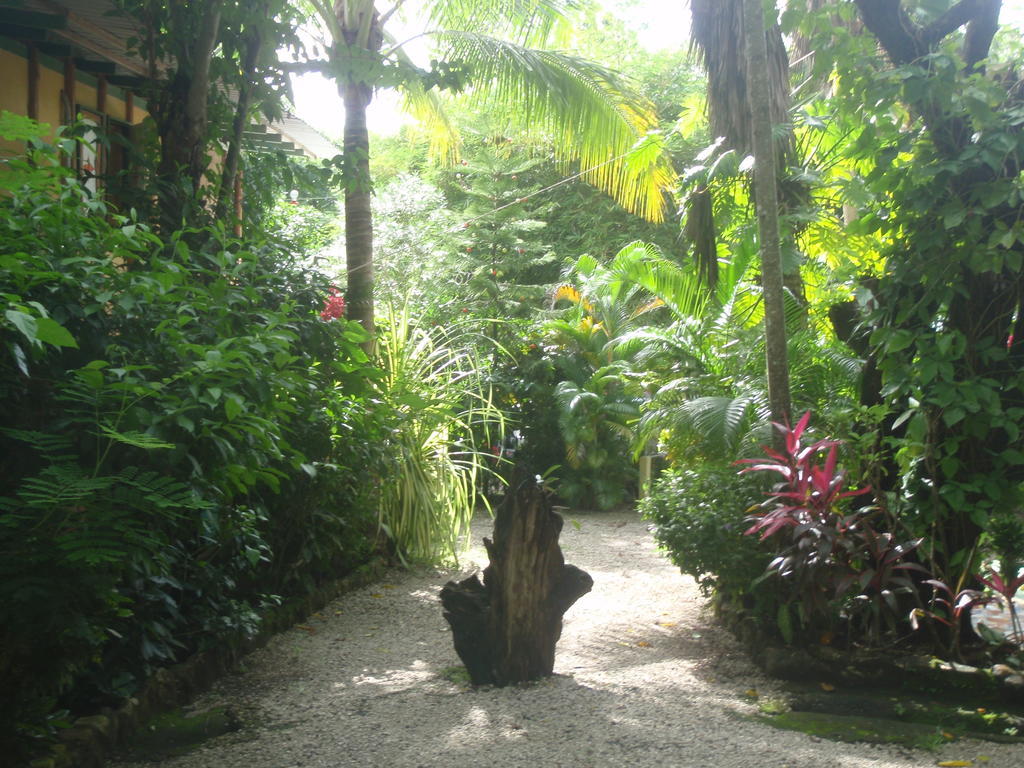 Pachamama Tropical Garden Lodge 말파이스 외부 사진