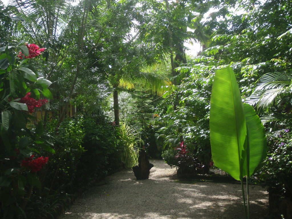 Pachamama Tropical Garden Lodge 말파이스 외부 사진