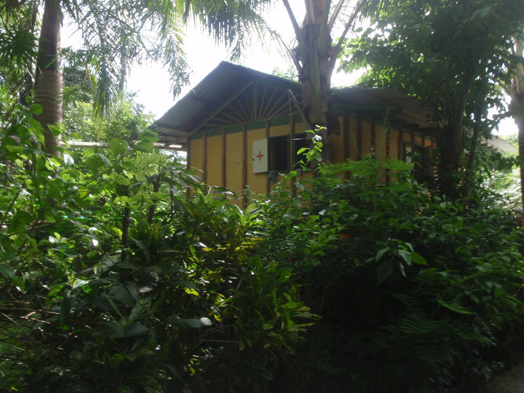 Pachamama Tropical Garden Lodge 말파이스 객실 사진
