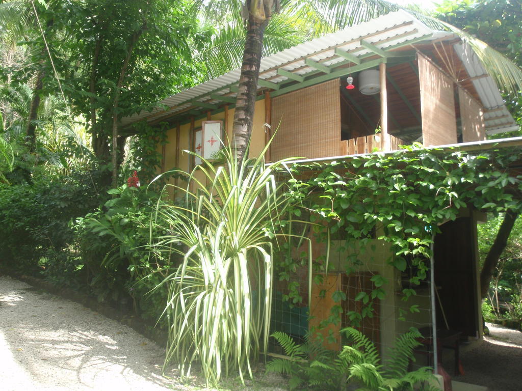 Pachamama Tropical Garden Lodge 말파이스 객실 사진